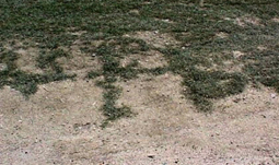 Ejemplo de suelo compacto.