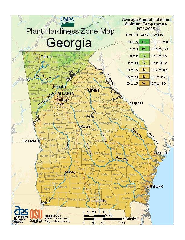 Plant hardiness zone map of Georgia ranging from 6a in the Blue Ridge mountains to 9a along the coast.
