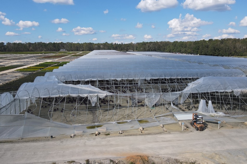 Hurricane Helene Greenhouse Damage