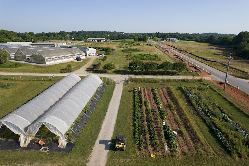 An aerial shot of a community garden at the University of Georgia.