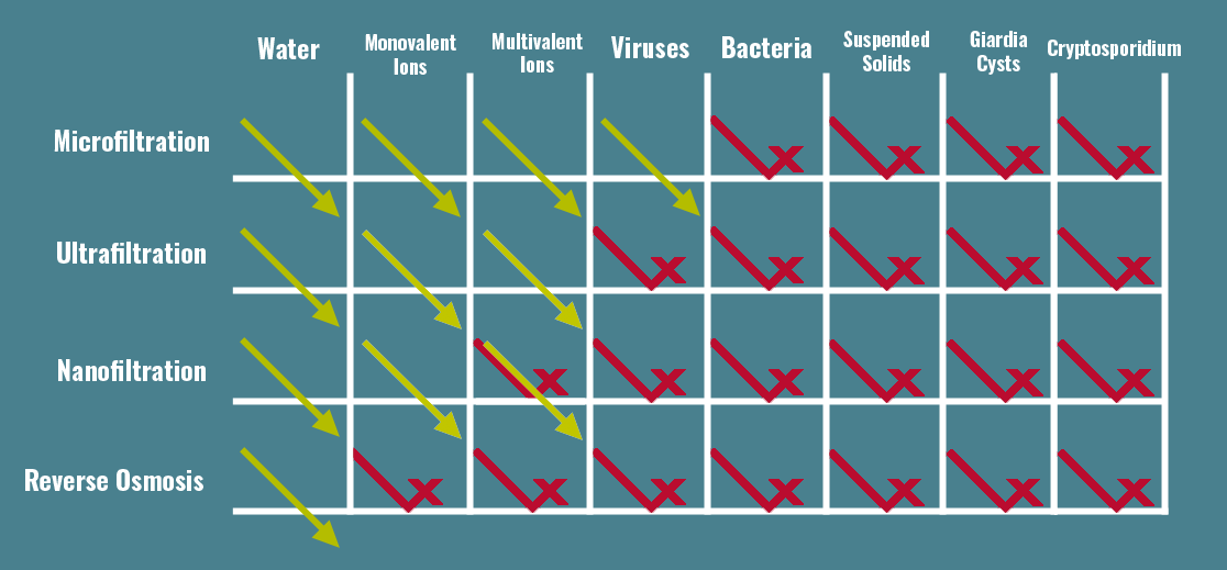 A chart illustrating which common particles can be filtered by various common membranes with varying pore sizes