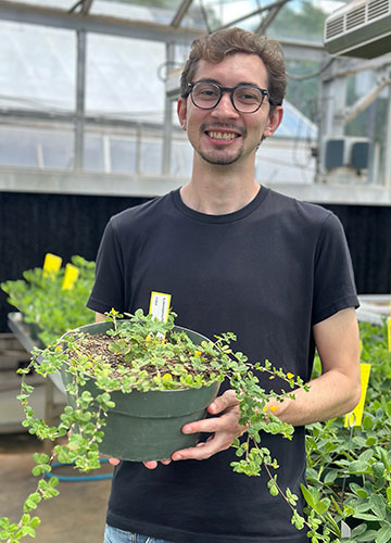 A young man with short brown hair and a goatee wearing glasses and a balck t-shirt holds a planter with ivy growing in it. 