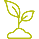 A graphic illustration of a green plant sprout.