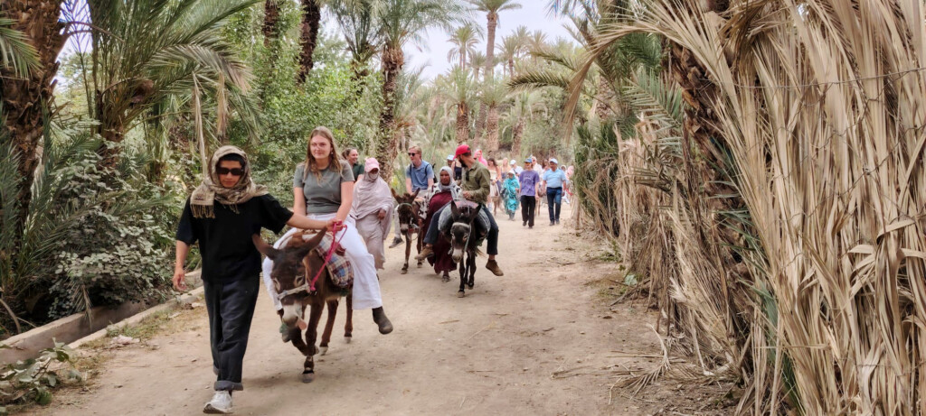 A group of people ride donkeys along a dirt path through a palm tree-lined oasis.