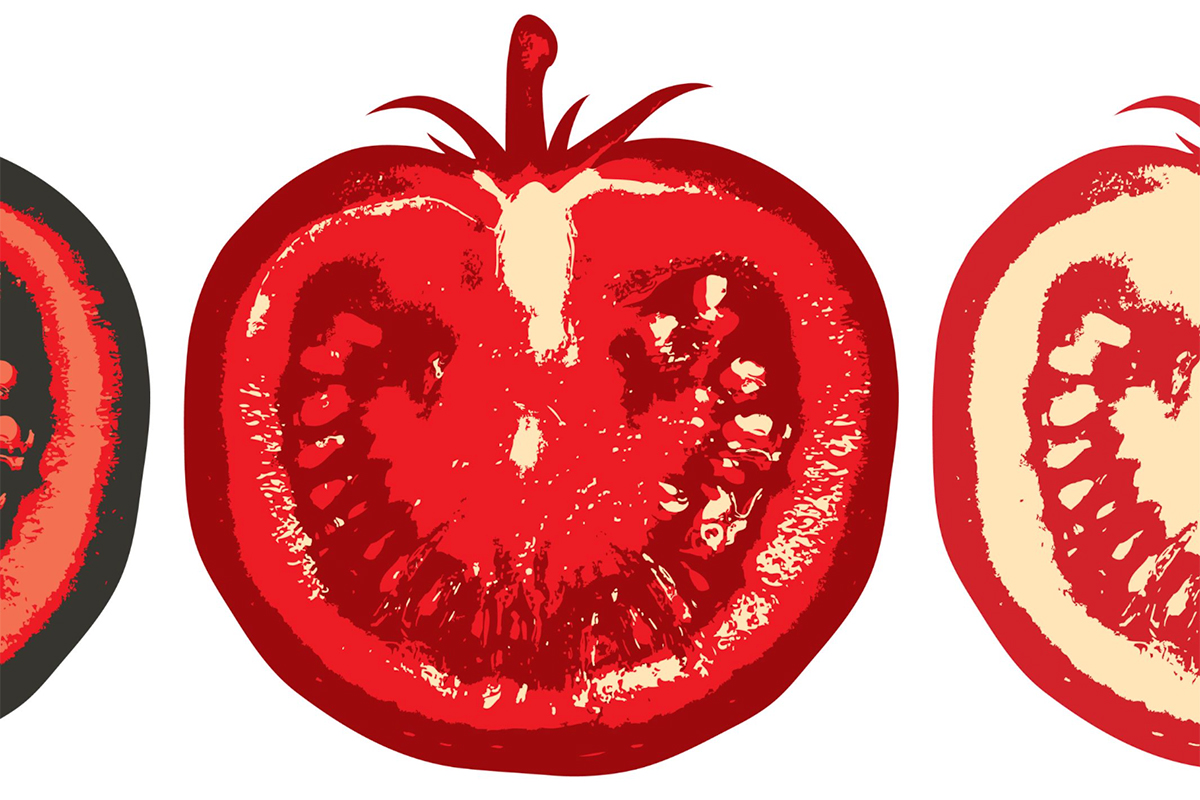 Vector drawings of tomato halves.