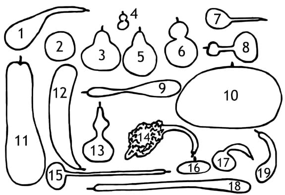 a black and white illustration of various shapes of gourds, numbered and listed in the text below