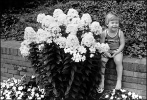 A child sits next to a stand of garden phlox that is just as tall