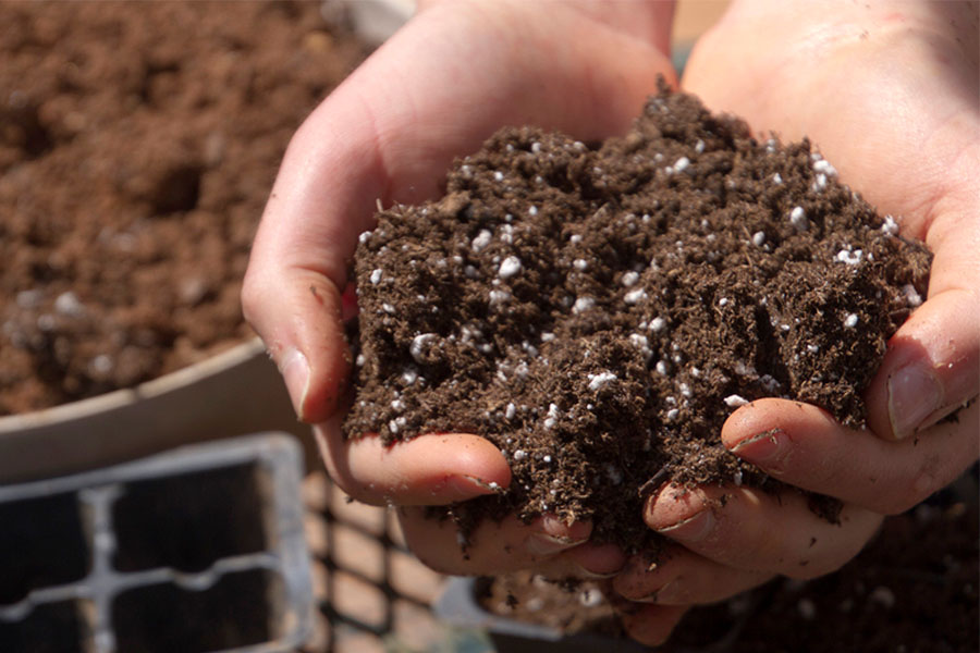 a cupped pair of hands are filled with potting soil mixture