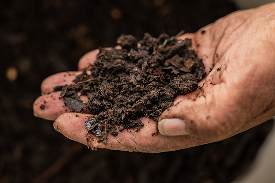 a single hand holds pin bark amended soil for the camera to see clearly