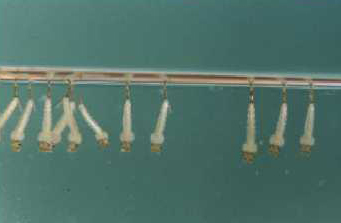 Gallery image 1 of 2