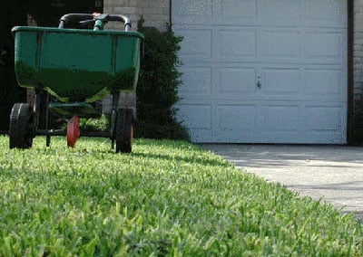 Fertile lawn