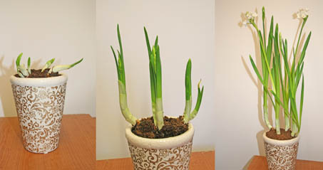 Gallery image 1 of 1