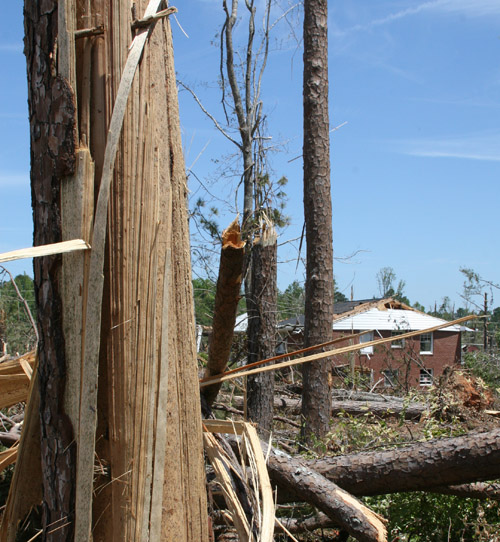 Gallery image 1 of 1