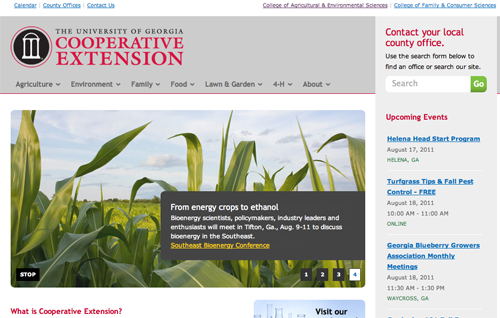 Gallery image 1 of 1