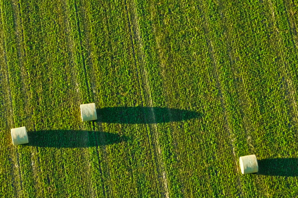 hay bales cast long shadows in a hayfield