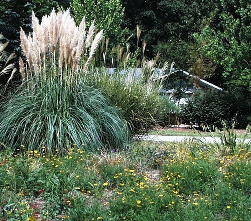 Gallery image 1 of 2