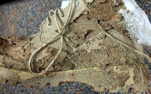 Gallery image 1 of 6