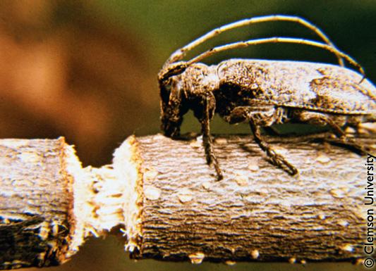 Gallery image 1 of 1