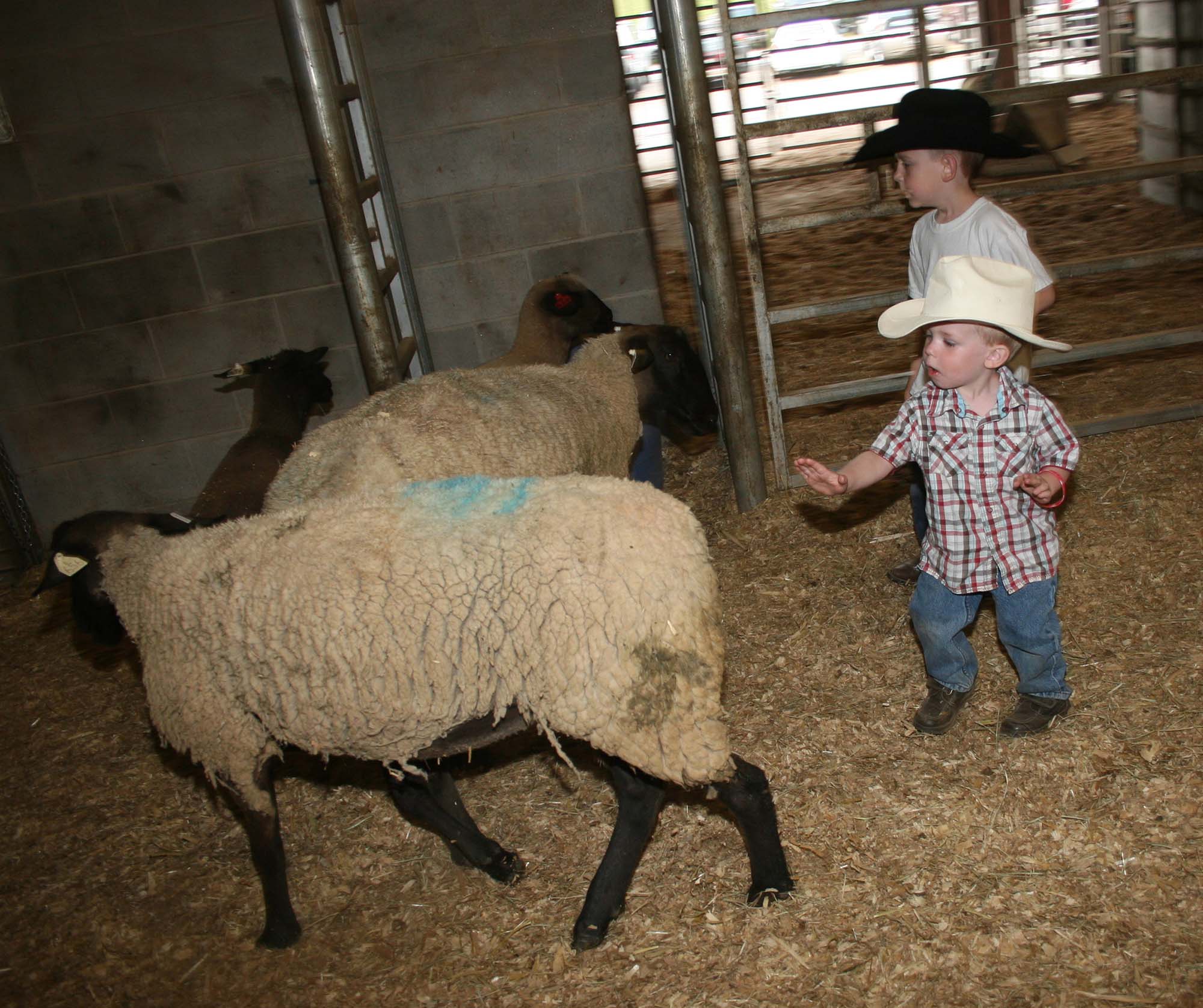 Gallery image 1 of 1