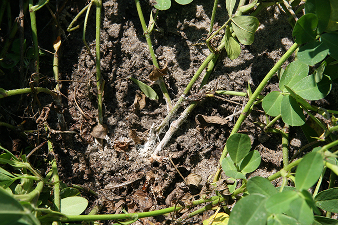 Gallery image 1 of 2