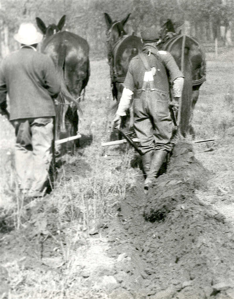 Gallery image 1 of 3