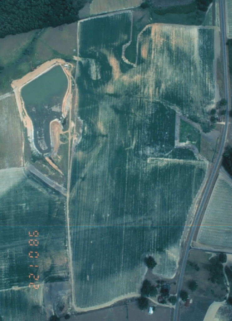 An aerial shot of a green field with clear vertical rows.