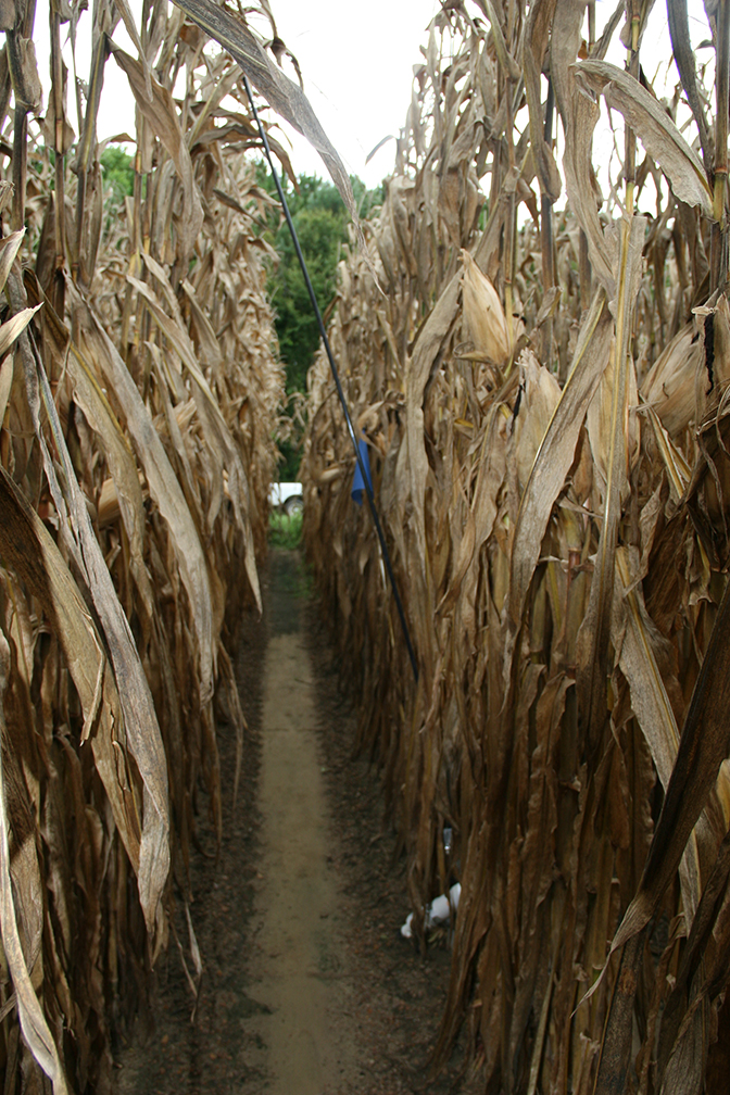 Gallery image 1 of 2