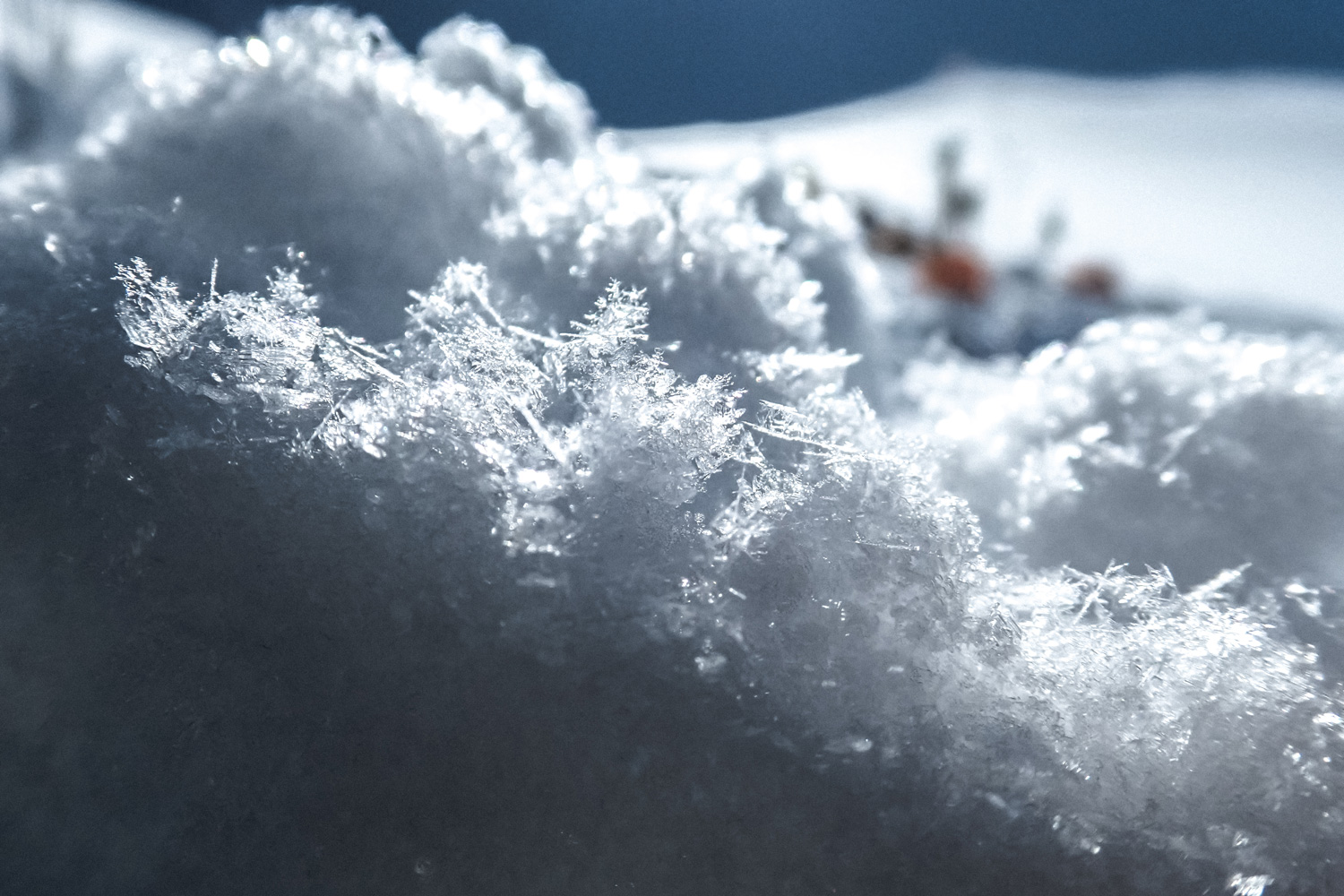 snow crystals up close