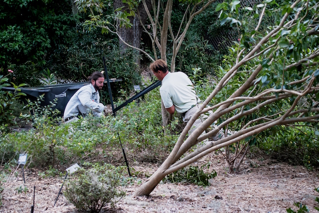 Gallery image 1 of 2