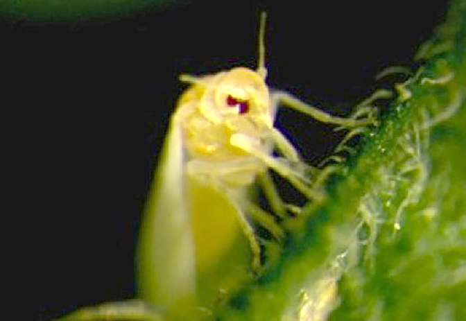 Gallery image 1 of 1