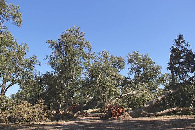 Gallery image 1 of 1