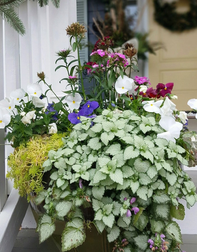 Gallery image 1 of 2