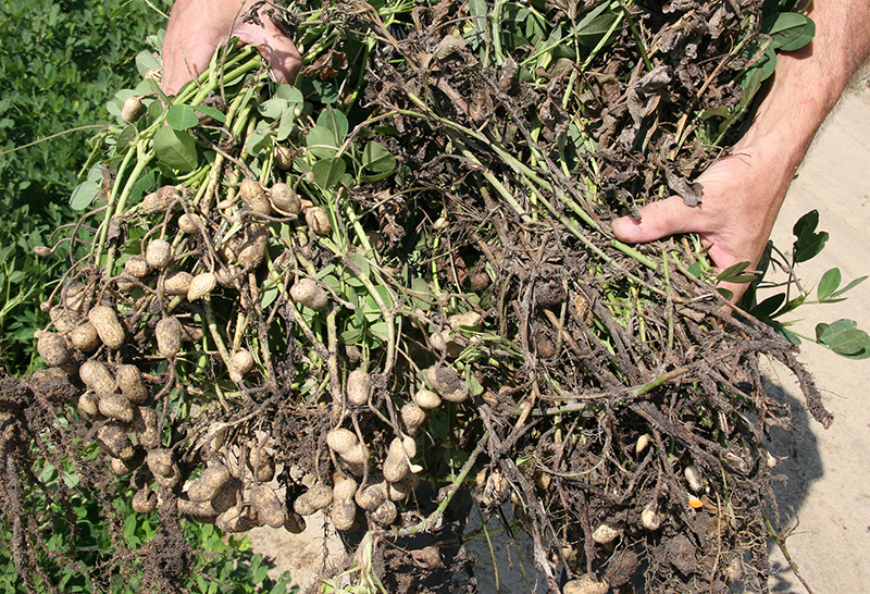 Gallery image 1 of 1