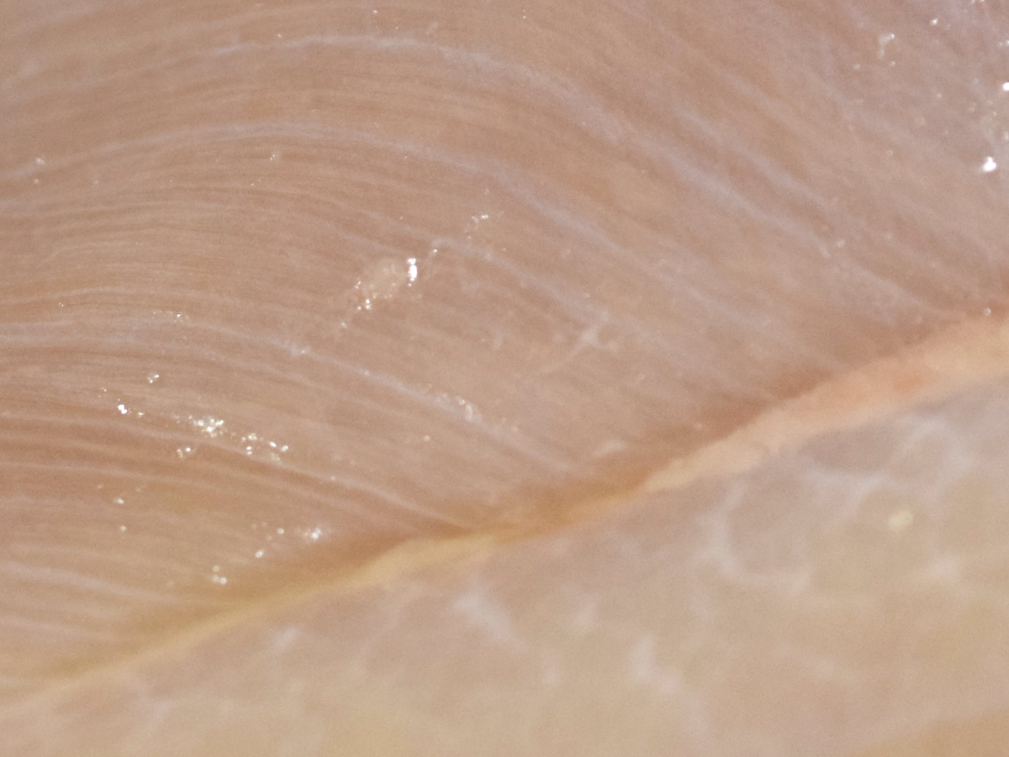 Closeup of a raw chicken breast showing white striping going horizontally with one vertical stripe