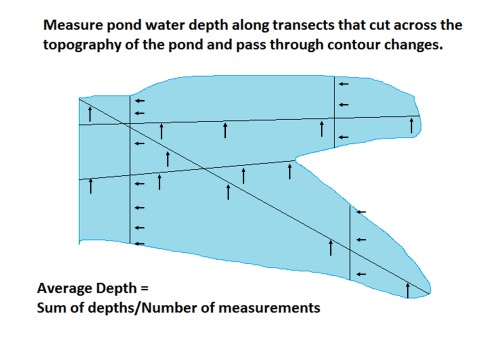 Diagram showing how to estimate average pond depth by making soundings along transects across the pond.