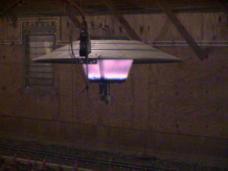 A radiant brooder hanging from the ceiling of a broiler house to heat floor-level air.