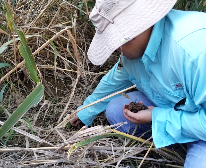 Gallery image 1 of 3