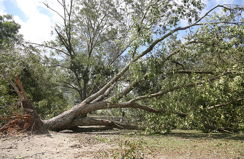 Gallery image 1 of 2
