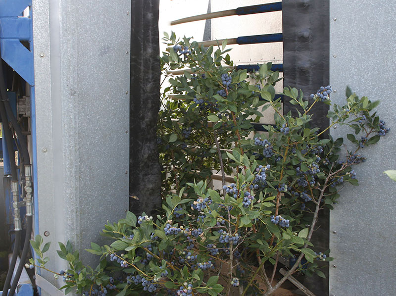 Gallery image 1 of 1