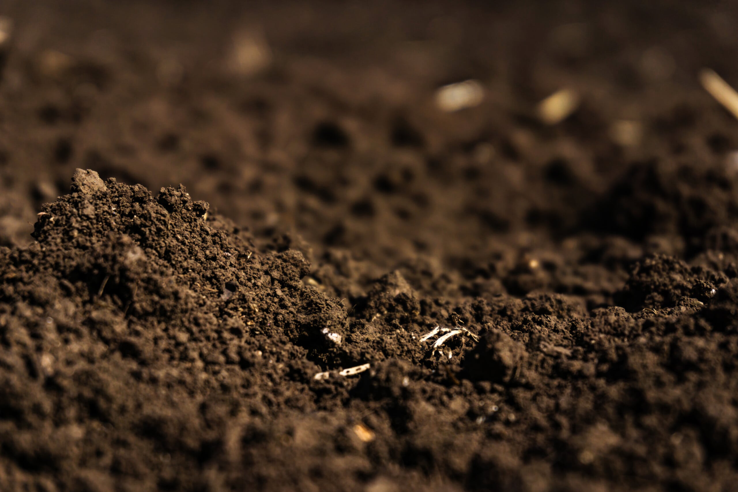 a closeup photo of soil