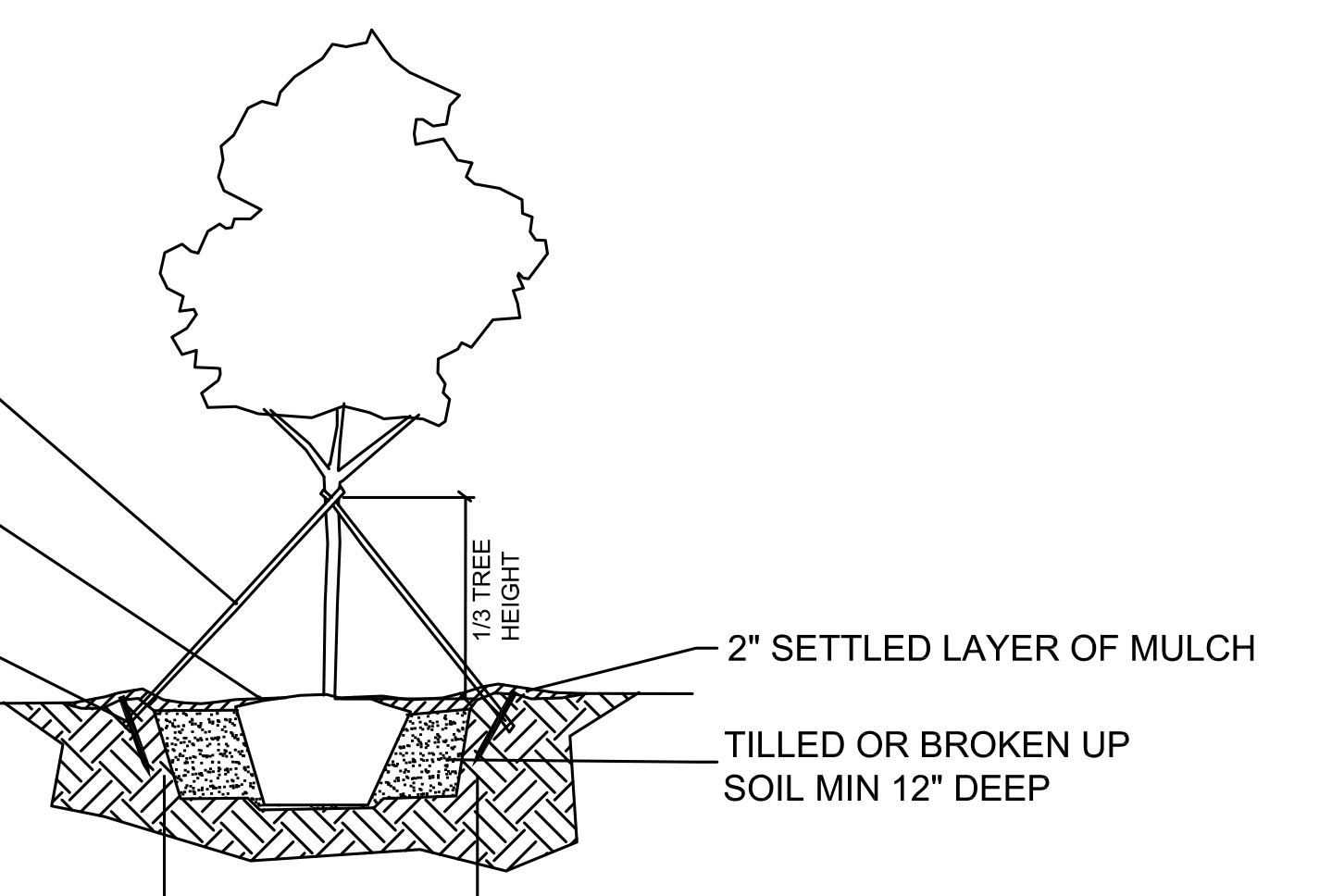 line drawing of a diagram showing how to plant a tree
