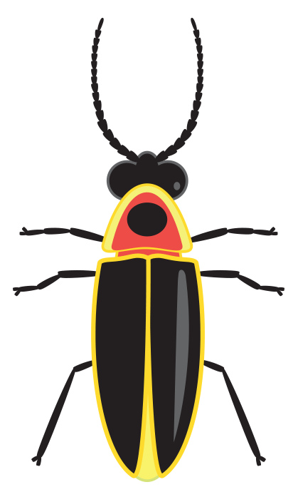 illustration of a firefly with black body, orange midsection and yellow edges