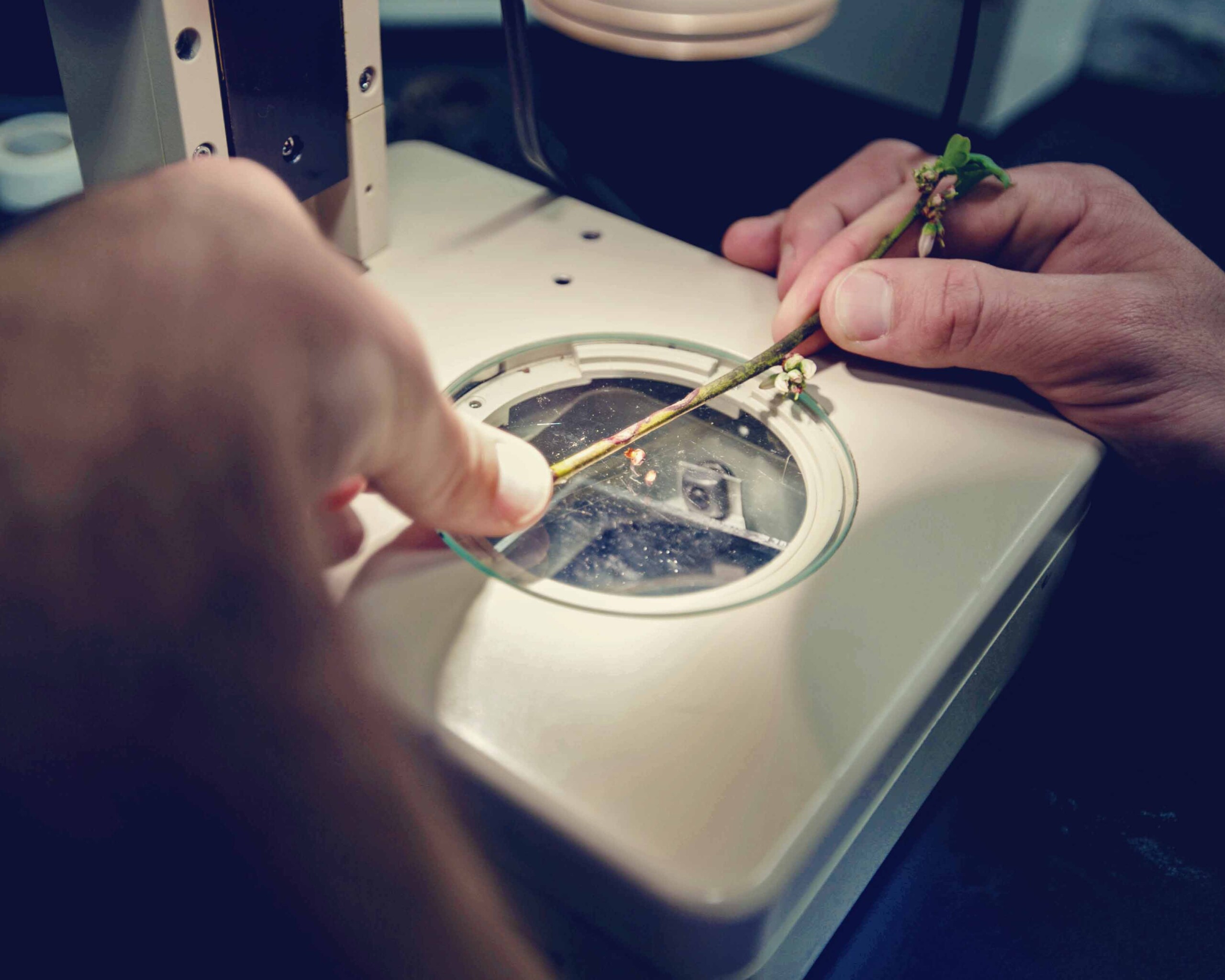 Gallery image 1 of 1