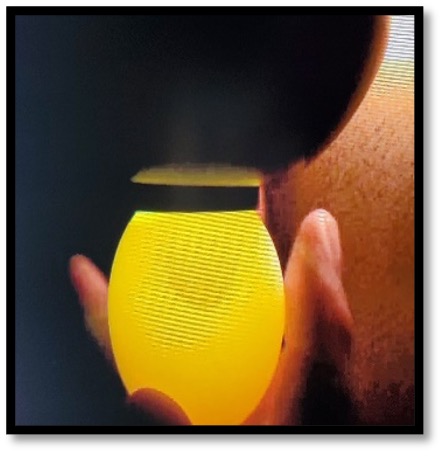 Candled AA grade table egg with the air cell visible at the large end of the shell