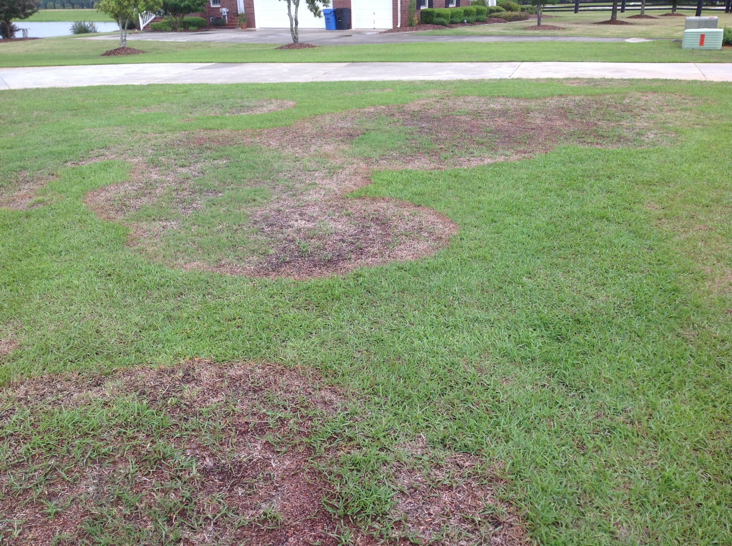 Gallery image 1 of 2