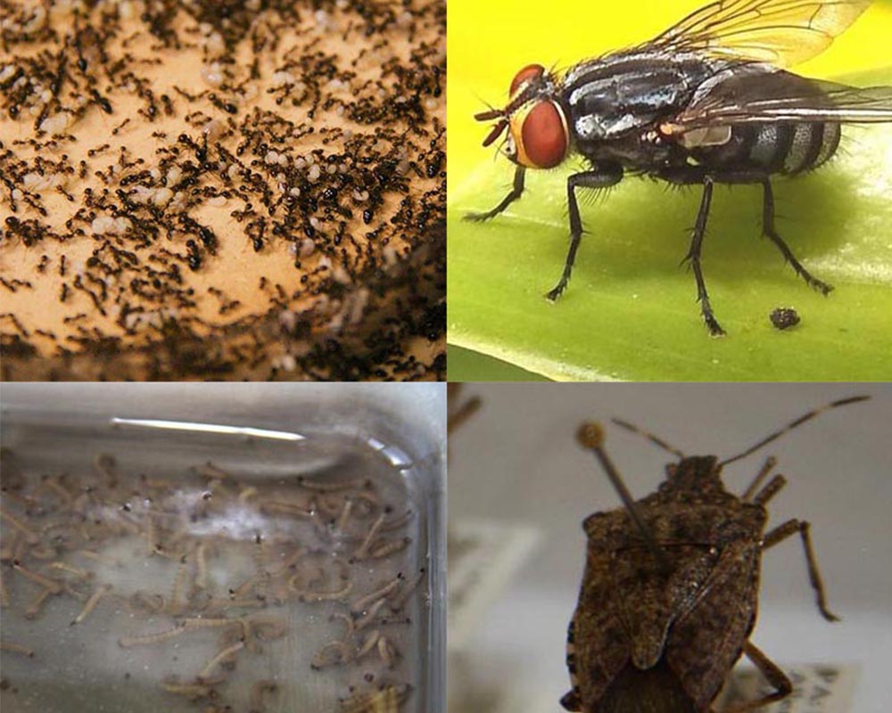 Gallery image 1 of 1