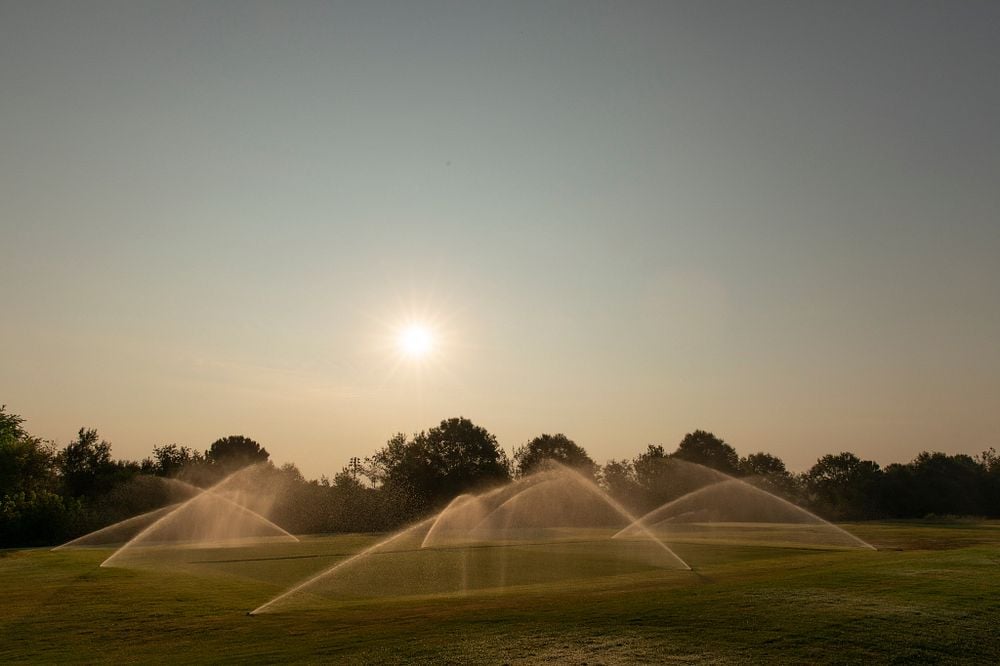Sprinklers on turf