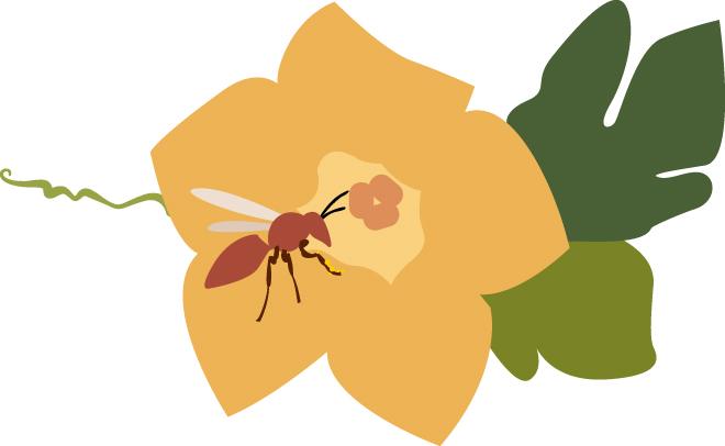 a flying insect is illustrated pollinating a yellow flower