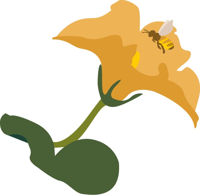 illustration of a bee pollinating a flower