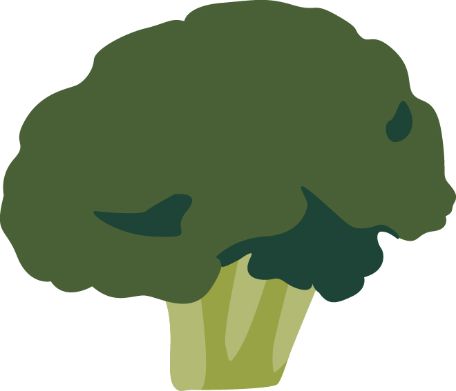 Broccoli is an example of a dry-seeded plant